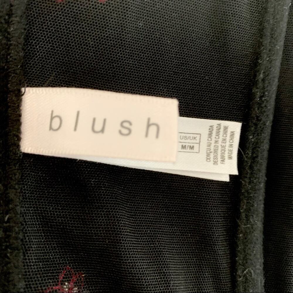 BLUSH Black Pink Floral Embroidered Bustier M - Picture 3 of 11